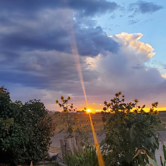 Meet your Posher, Kristina - Picture 6 of 8